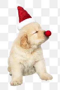 Png Golden Retriever sticker, Christmas puppy collage element on transparent background