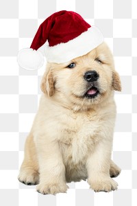 Png Golden Retriever sticker, Christmas puppy collage element on transparent background