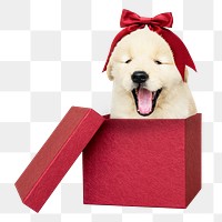 Christmas puppy png sticker, Golden Retriever pet on transparent background
