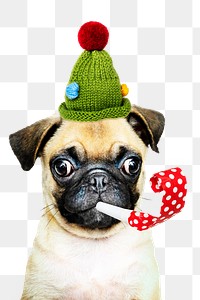 Party puppy png sticker, cute Pug on transparent background