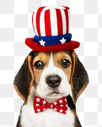 Puppy png sticker, wearing uncle Sam costume, cute collage element on transparent background