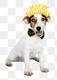 Birthday puppy png sticker, wearing party crown, cute collage element on transparent background