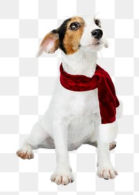 Png Christmas puppy sticker, Jack Russell Terrier collage element on transparent background