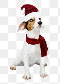 Png Christmas puppy sticker, Jack Russell Terrier collage element on transparent background