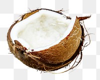 Coconut png clipart, tropical fruit on transparent background