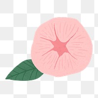 Pink flower png collage element, aesthetic illustration