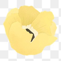 Aesthetic flower png sticker, yellow collage element on transparent background