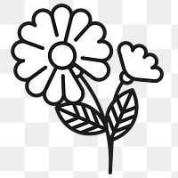 Flower png sticker, cute summer design, transparent background