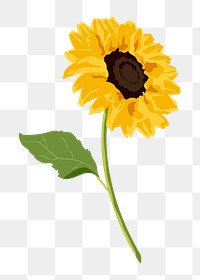 Aesthetic sunflower png sticker, yellow flower on transparent background