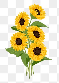 Realistic sunflower png sticker, botanical illustration on transparent background