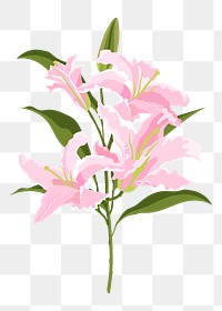 Lily flower png sticker, pink botanical, feminine illustration on transparent background