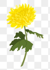 Yellow chrysanthemum png sticker, colorful flower collage element