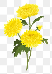 Yellow chrysanthemum png sticker, colorful flower collage element