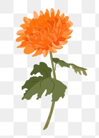 Orange chrysanthemum png flower sticker, Autumn aesthetic on transparent background