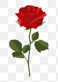 Valentine's rose png sticker, red flower illustration on transparent background