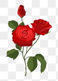 Valentine's rose png sticker, red flower illustration on transparent background