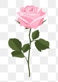 Pink rose png sticker, feminine flower illustration on transparent background