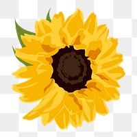 Yellow flower png sticker, sunflower spring illustration on transparent background