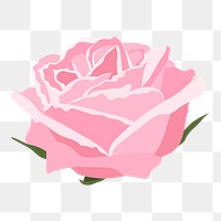 Pink rose png sticker, feminine flower illustration on transparent background