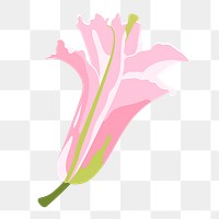 Aesthetic lily png sticker, pink flower illustration on transparent background