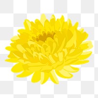 Yellow chrysanthemum png sticker, colorful flower collage element