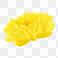 Yellow chrysanthemum png sticker, colorful flower collage element