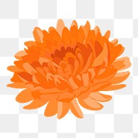 Orange chrysanthemum png flower sticker, Autumn aesthetic on transparent background