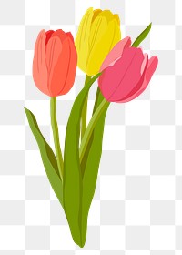 Tulip flower png sticker, colorful realistic illustration on transparent background