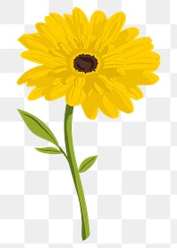 Yellow gerbera png sticker, feminine flower illustration on transparent background