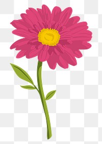 Pink gerbera png sticker, feminine flower illustration on transparent background