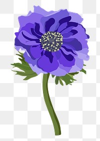 Purple anemone png sticker, aesthetic flower illustration on transparent background