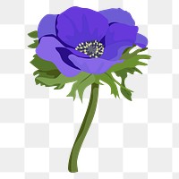 Purple anemone png sticker, aesthetic flower illustration on transparent background