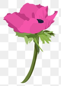 Pink anemone png flower sticker, feminine illustration on transparent background