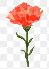 Red carnation png sticker, aesthetic flower illustration on transparent background