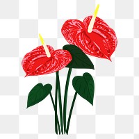 Red anthurium png clipart, tropical flower illustration on transparent background