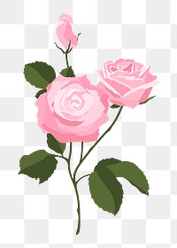 Pink rose png sticker, feminine flower illustration on transparent background