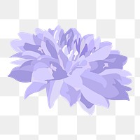 Purple flower png sticker, chrysanthemum botanical aesthetic