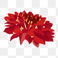 Red flower png sticker, realistic chrysanthemum illustration