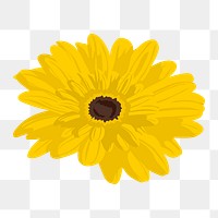 Yellow gerbera png sticker, feminine flower illustration on transparent background