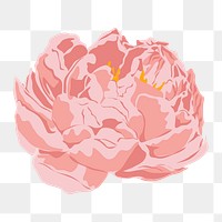 Feminine flower png sticker, pastel pink peony on transparent background