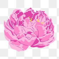 Peony flower png sticker, pink aesthetic design on transparent background