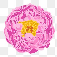 Realistic peony png sticker, pink flower illustration on transparent background