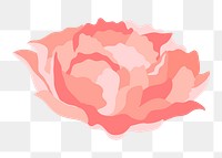 Aesthetic carnation png flower sticker, pink design on transparent background