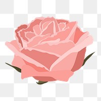 Pink pastel rose png sticker, flower illustration on transparent background