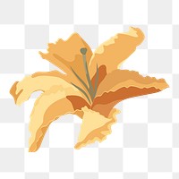 Autumn lily png sticker, orange flower on transparent background