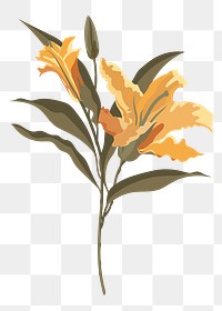 Autumn lily png sticker, orange flower on transparent background