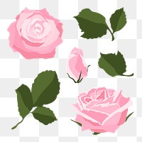 Pink rose png sticker, feminine flower illustration set