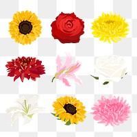 Blooming flower png sticker, spring aesthetic illustration set on transparent background