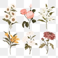 Feminine flower png stickers, botanical illustration in earth tone set