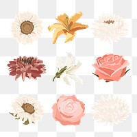 Pastel flower png sticker, realistic botanical illustration set